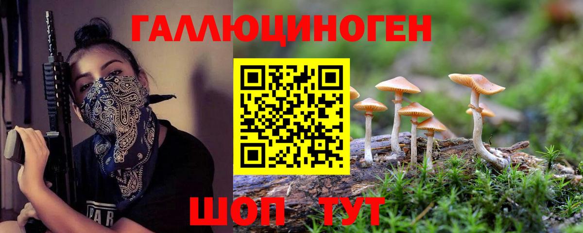 Йошкар-Ола  Галлюциногенные грибы ЛСД  купить закладку  Вход с VPN 