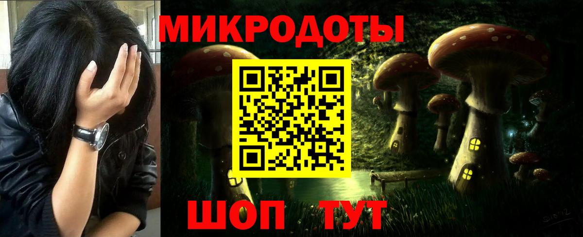 Галлюциногенные грибы Cubensis Йошкар-Ола